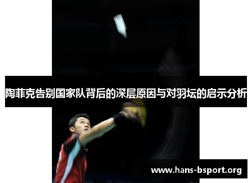 陶菲克告别国家队背后的深层原因与对羽坛的启示分析